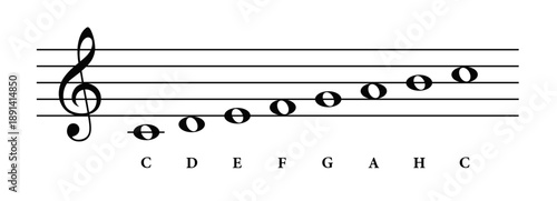 Musical notes of the c major scale on white background