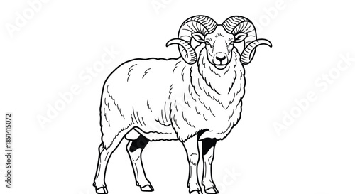 A strong and detailed black and white line art illustration of a ram with large curved horns, standing proudly on a clean background.