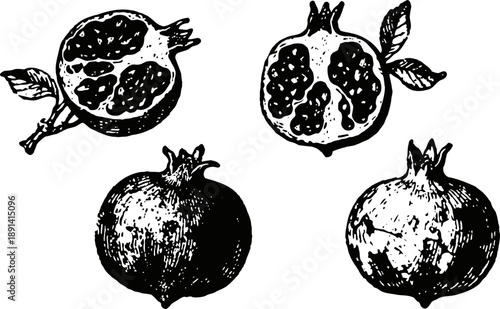 Hand drawn pomegranate illustrations showing whole fruits and cross sectional views with seeds and leaves