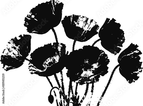 Black silhouette of poppy flowers with stems and buds on a white background