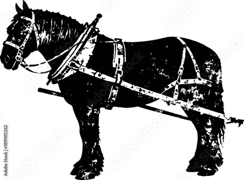 black draft horse with harness standing side view, vintage agricultural animal, farming work