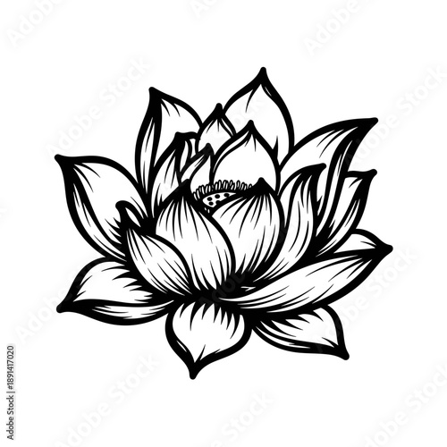 Elegant Black and White Lotus Flower Illustration.