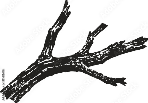 dry tree branch illustration with rough bark texture and jagged broken limbs