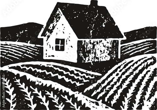 Farmhouse with cultivated fields in a rural landscape, countryside agriculture illustration