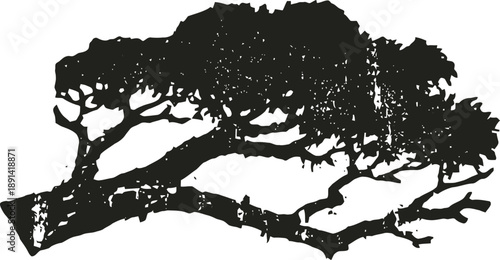 Bonsai tree silhouette with detailed branches and foliage shape in black ink