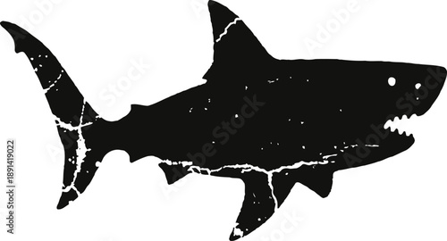 silhouette of a shark with a distressed texture, ocean predator symbol, marine wildlife design