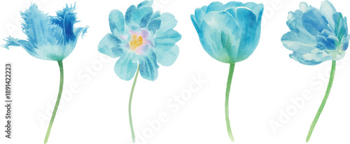 set of Watercolor Vector Illustrator Blue Flower, Isolated on White Background