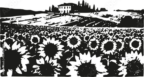 Sunflower field with farmhouse and rolling hills in countryside landscape silhouette design