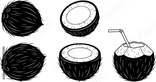 Coconut isolated cartoon set icon. Vector illustration coco on white background. Vector cartoon set icon coconut.
