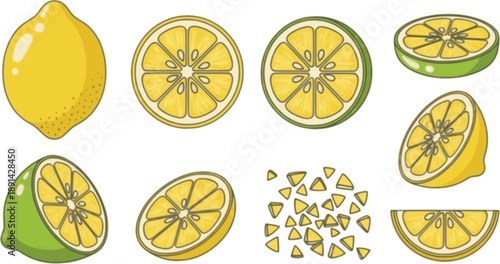 Lemon cut slices vector set, Whole, half and slice chopped lemon fruit flat collection.

