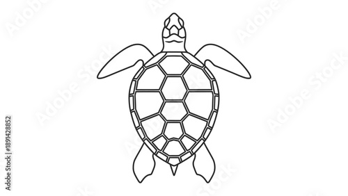 Sea Turtle Silhouette: A minimalist outline of a sea turtle, its unique shell and flippers delicately rendered, making it perfect for creative projects or adding a touch of marine beauty.