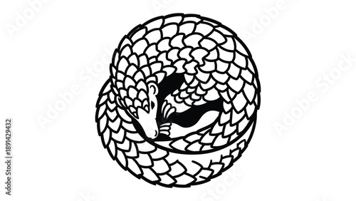 Pangolin Ball: A solitary pangolin curled into a ball, showcasing its unique scales and a sense of vulnerability. This stark image draws attention to a fascinating creature. 