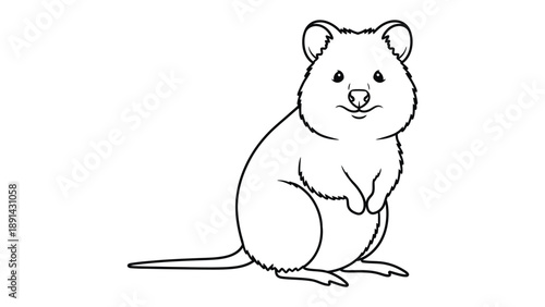 Quokka Illustration: A delightful illustration showcases a charming quokka, renowned for its perpetually cheerful expression and cuddly appearance. 