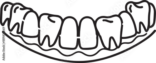 Human lower jaw teeth anatomy line art illustration for dental education orthodontics and stomatology study showing molar premolar incisor placement on gum line vector design element
