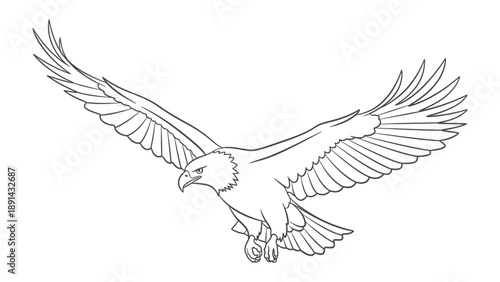 Soaring Eagle Illustration: A majestic eagle with widespread wings, embodying freedom and strength, soars gracefully through the sky, depicted in a stunning line art style.