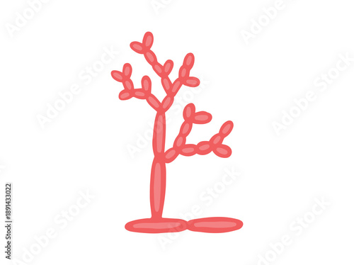 Mold Spore Cladosporium Fungus Illustration
