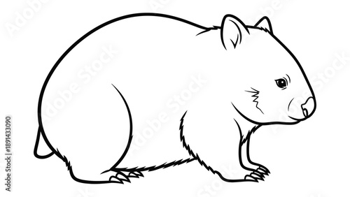 Wombat Illustration: A meticulously crafted illustration of a wombat, showcasing its unique form and features in clean lines and minimalist style.