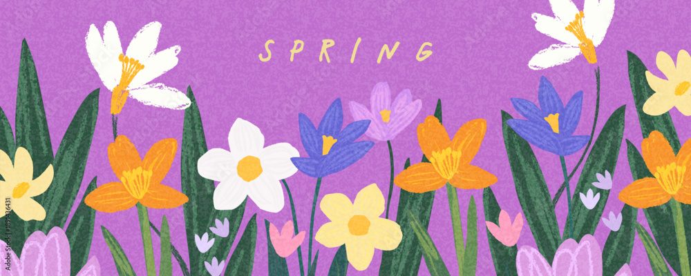 Fototapeta premium Spring cutest card or poster for the spring holiday with wildflowers, Narcissus flower, Crocus flowers. Hand drawn crayon Floral art template for Womens Day March 8, Easter, birthday and Mothers Day