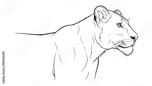 Regal Lioness Portrait: An elegant sketch captures the profile of a lioness, showcasing the strength and grace of the queen of the savanna. Her gaze is sharp, her posture commanding.