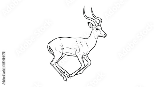 Elegant Antelope: A finely rendered illustration of an antelope in full stride, capturing its grace and agility against the crisp simplicity. 