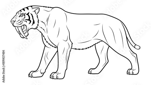 Saber-toothed Tiger Illustration: A captivating line drawing showcasing a fierce saber-toothed tiger in mid-stride, revealing its prehistoric might and grandeur.
