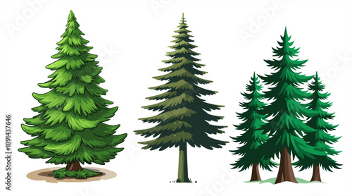 Set of four detailed evergreen pine and spruce trees isolated on a white background. Hand-drawn vector illustrations with textured needles and various tree shapes, perfect for nature-themed graphic de