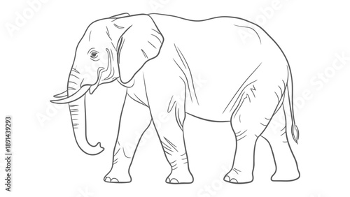 Majestic Elephant Sketch: A minimalist black-and-white sketch captures the essence of a magnificent elephant, emphasizing its iconic features in a sleek, artistic outline.