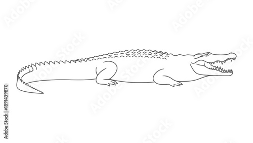 Crocodile Outline Illustration: An illustrative portrayal of a formidable crocodile, with open jaws, set against a simple backdrop, ready for artistic enhancement. 