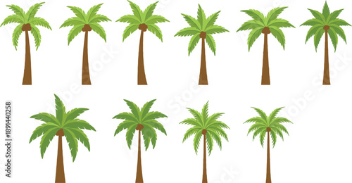 Palm tree vector illustration set featuring tropical coconut palms, island nature plants, summer beach vegetation, and exotic green foliage collection