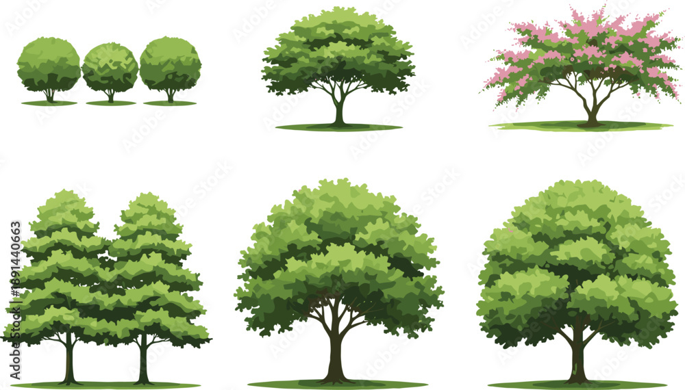 Fototapeta premium Collection of various green and flowering deciduous trees isolated on white background for landscape garden design.