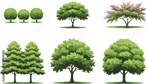 Collection of various green and flowering deciduous trees isolated on white background for landscape garden design.