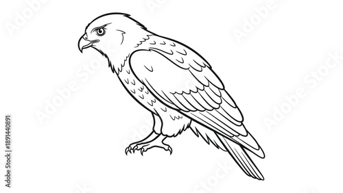 Line Art: Majestic Hawk: A detailed line drawing of a majestic hawk, capturing its fierce gaze and intricate feather patterns.