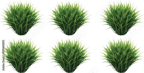 Set of green garden grass bushes and ornamental tufts isolated on white background vector illustration.