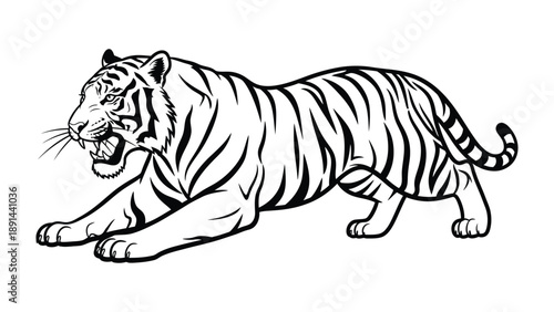 Tiger's Roar Illustration: A striking monochrome illustration of a fierce tiger, captured mid-roar, showcasing its powerful form and captivating intensity.