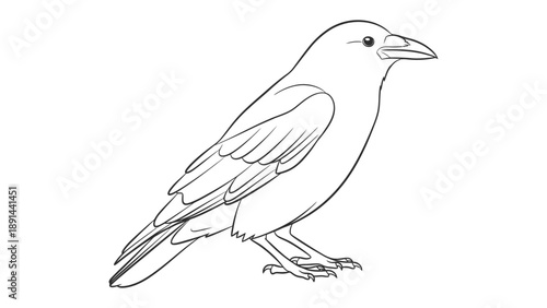 Raven Sketch: An elegant line drawing of a raven in a simplistic style, focusing on its iconic silhouette and details, suitable for design and artistic purposes.