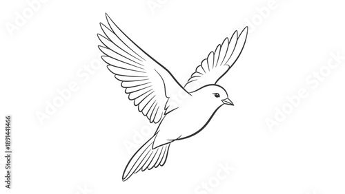Soaring Bird Sketch: A graceful avian outline, wings outstretched in mid-flight, embodies freedom and tranquility, symbolizing peace and hope.