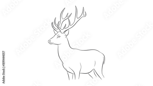Majestic Stag Contour: A regal stag stands in elegant profile, its impressive antlers a testament to its strength. The drawing emphasizes the grace and power of this wild animal.