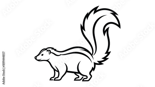 Skunk Illustration: A monochrome illustration of a skunk.