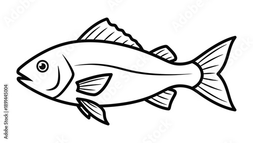 Fish Outline: A simple yet elegant black and white illustration of a fish.