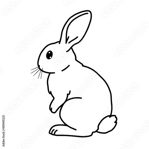 rabbit, bunny, hare, animal, mammal, wildlife, nature, forest, meadow, farm, easter, spring, cute, fluffy, ears, whiskers, tail, icon, vector, illustration, outline, sketch, handdrawn, lineart, minima