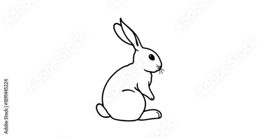 rabbit, bunny, hare, animal, mammal, wildlife, nature, forest, meadow, farm, easter, spring, cute, fluffy, ears, whiskers, tail, icon, vector, illustration, outline, sketch, handdrawn, lineart, minima