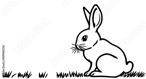 rabbit, bunny, hare, animal, mammal, wildlife, nature, forest, meadow, farm, easter, spring, cute, fluffy, ears, whiskers, tail, icon, vector, illustration, outline, sketch, handdrawn, lineart, minima