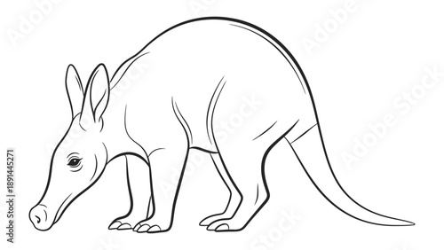 Aardvark Illustration: A detailed outline of a unique aardvark, capturing its distinctive features, perfect for educational or illustrative purposes.