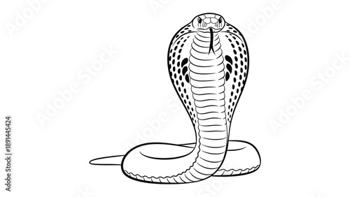 Cobra Snake Illustration: A majestic cobra snake in a striking, detailed illustration. showcasing the iconic snake's hood and scale patterns.