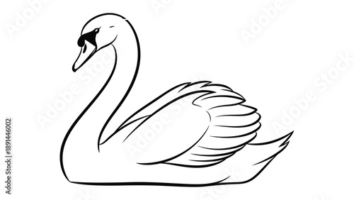 Graceful Swan Sketch: A beautifully drawn swan, depicted in elegant line art, floats serenely.