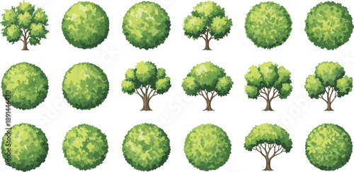 Collection of architectural tree symbols in top and front view for landscape site plan design.