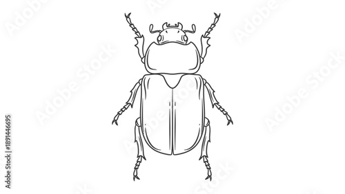 Beetle Artwork: A detailed black and white illustration of a beetle, showcasing the intricate structure of its body and appendages. 
