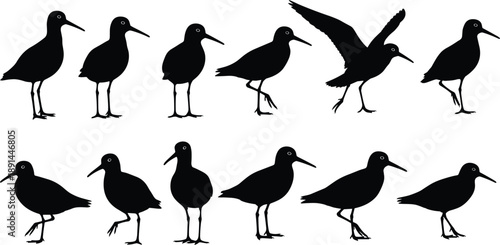 Shorebird silhouette set showing walking, standing, and flying poses, isolated black coastal birds for wildlife, nature, and vector design projects