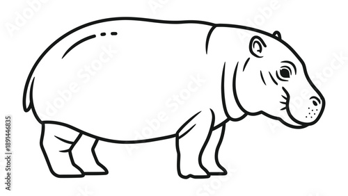Hippopotamus Line Art: An elegant, black and white illustration of a hippopotamus. This graphic evokes the essence of the creature in a clean, simple line style.