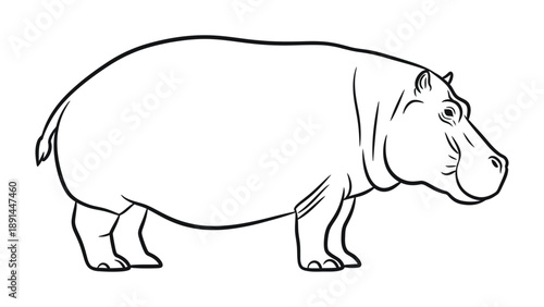 Hippopotamus Outline: A minimalist outline of a majestic hippopotamus, ready for creative enhancement, perfect for designs, learning materials, and artistic endeavors.